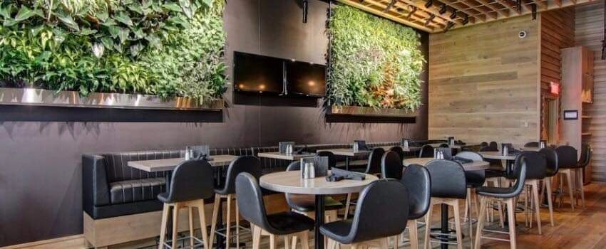 Restaurant avec sol en bois et revêtement mural